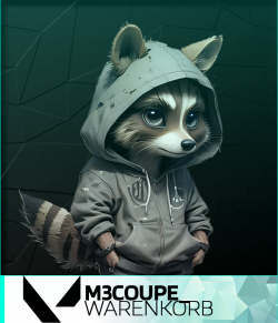 slg cs2 warenkorb m3coupe